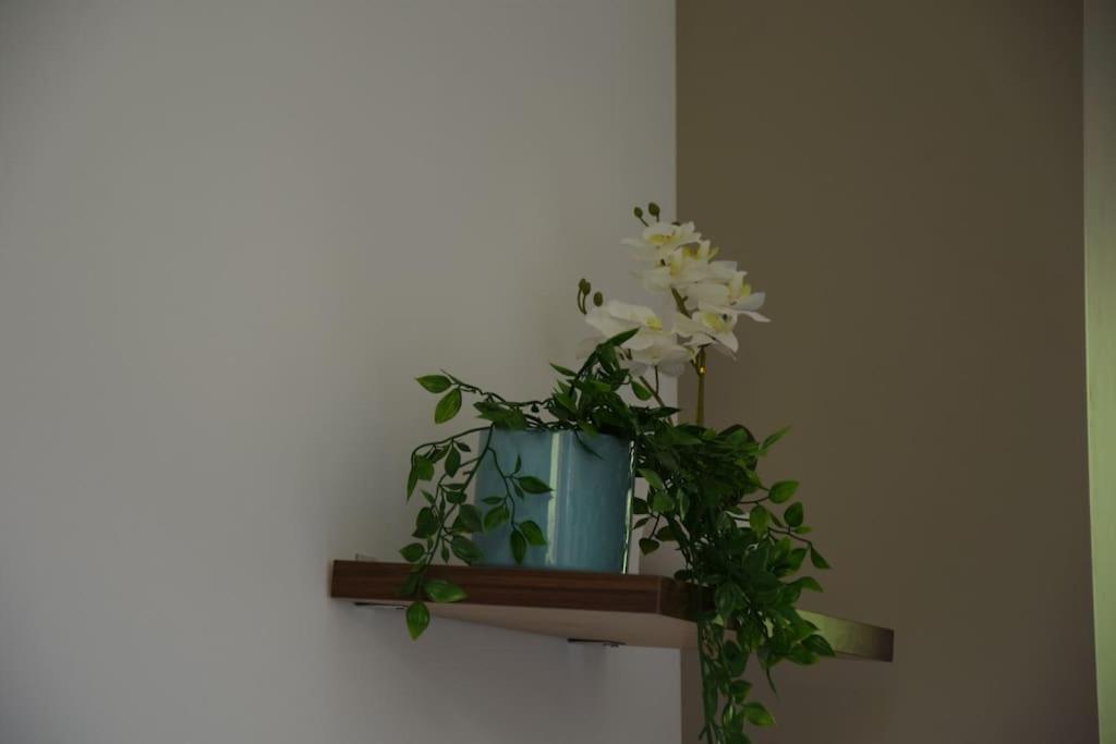 Appartamento Elegant T2 A Bron, Tramway A 2Min, Box Parking, 4Personnes Esterno foto